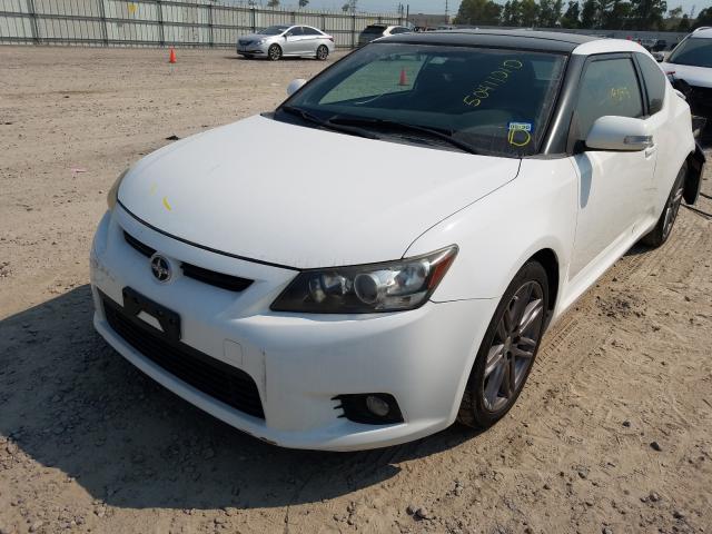 2011 TOYOTA SCION TC JTKJF5C7XB3021375