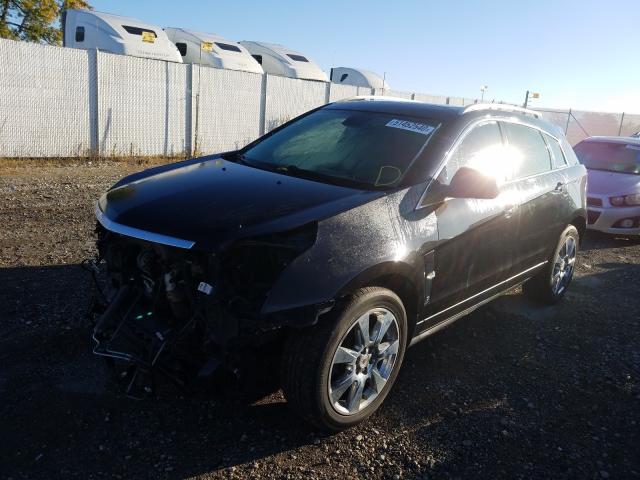 2011 CADILLAC SRX PERFOR 3GYFNEEY1BS657547