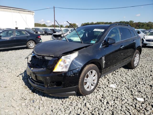 2011 CADILLAC SRX 3GYFNGEY6BS506828