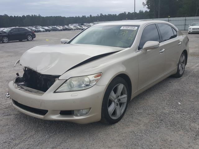 2010 LEXUS LS 460L JTHGL5EF9A5040242