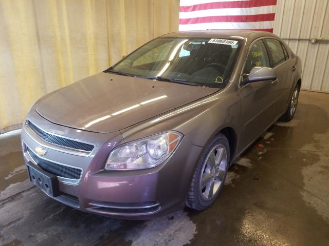 2010 CHEVROLET MALIBU 2LT 1G1ZD5EB3AF325462