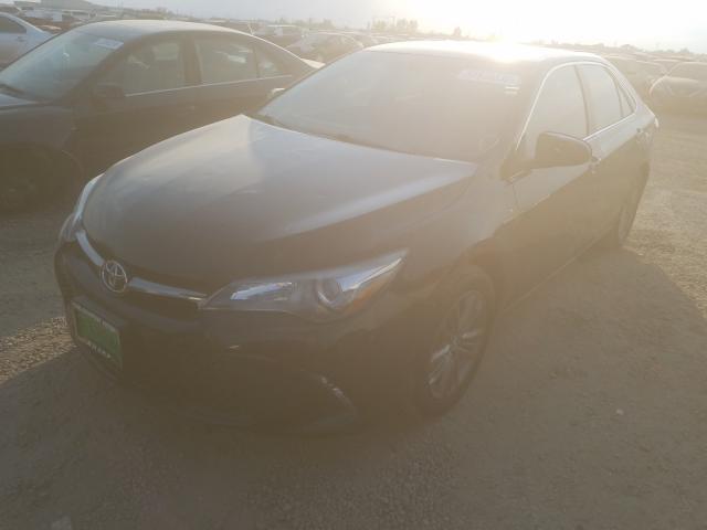 2016 TOYOTA CAMRY LE 4T1BF1FK4GU555196