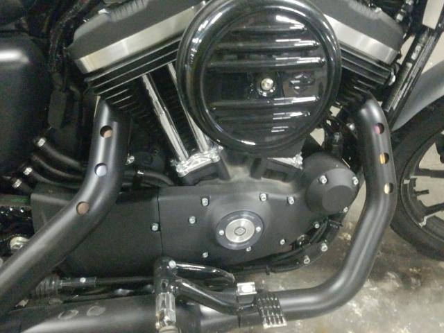 2020 HARLEY-DAVIDSON XL883 N 1HD4LE218LB410905