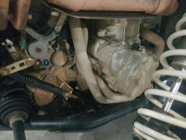 2019 POLARIS RZR XP 100 3NSVDE993KH485508