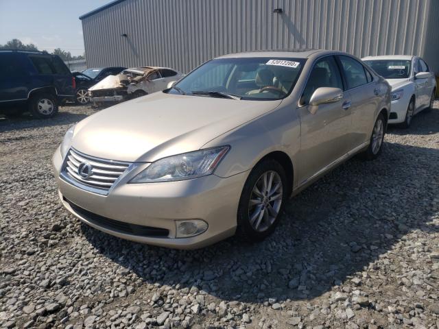 2010 LEXUS ES 350 JTHBK1EG6A2385163