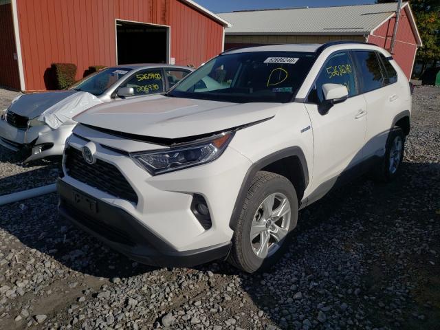 2019 TOYOTA RAV4 XLE 2T3RWRFV3KW046014