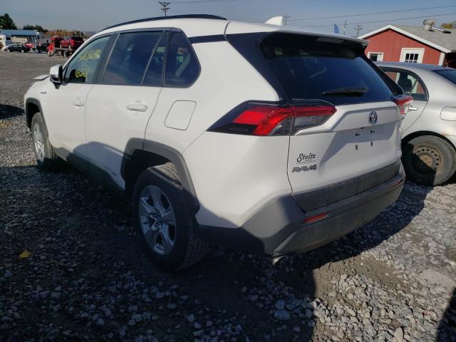 2019 TOYOTA RAV4 XLE 2T3RWRFV3KW046014