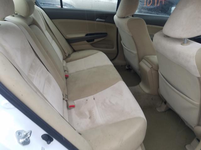 2010 HONDA ACCORD LXP 1HGCP2F45AA181799