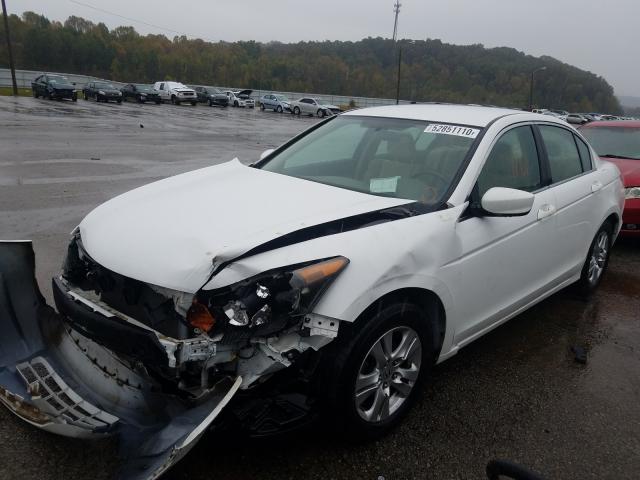 2010 HONDA ACCORD LXP 1HGCP2F45AA181799