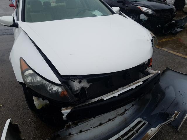 2010 HONDA ACCORD LXP 1HGCP2F45AA181799
