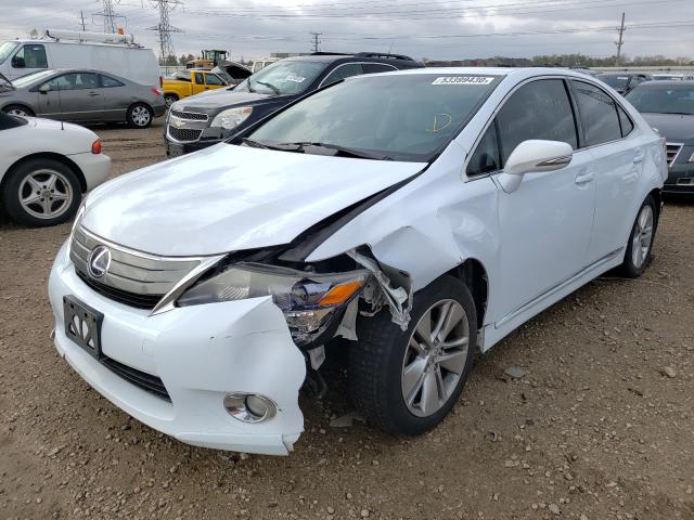 2010 LEXUS HS 250H JTHBB1BA6A2013032