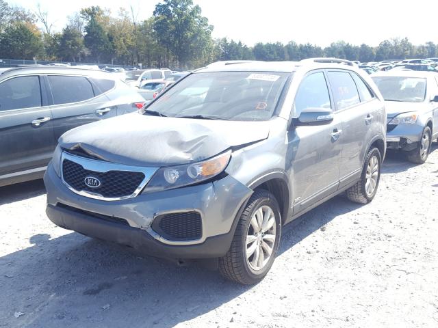2011 KIA SORENTO 5XYKTDA24BG177249