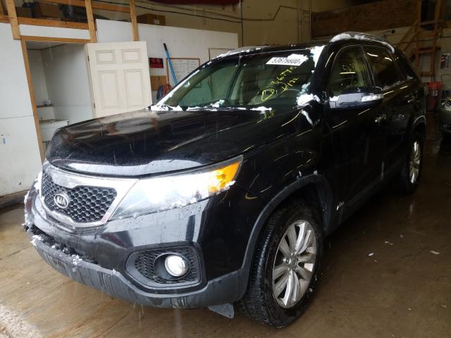 2011 KIA SORENTO EX 5XYKUDA26BG043503