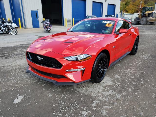 2019 FORD MUSTANG GT 1FA6P8CF7K5161056