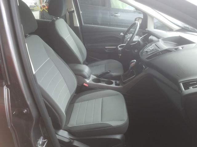 2014 FORD C-MAX SE 1FADP5AU6EL515804