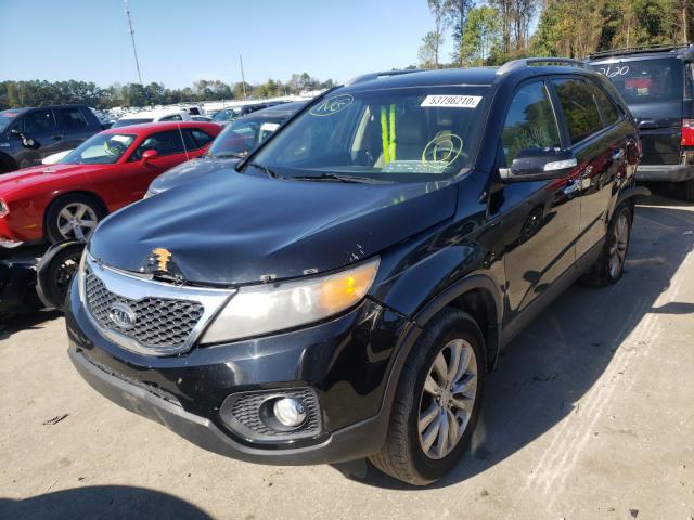 2011 KIA SORENTO 5XYKU3A15BG178246
