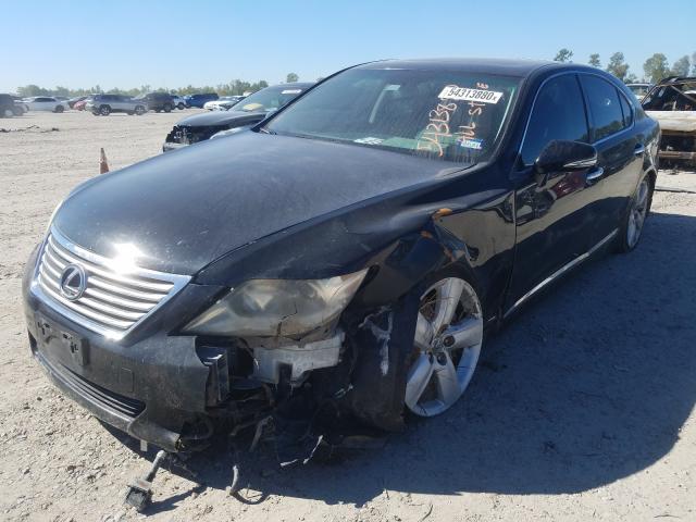 2011 LEXUS LS 460 JTHBL5EF4B5104389