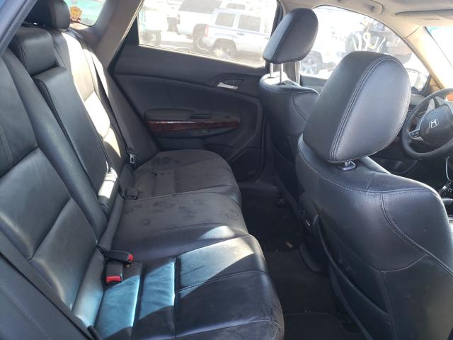 2010 HONDA ACCORD CRO 5J6TF1H58AL009413