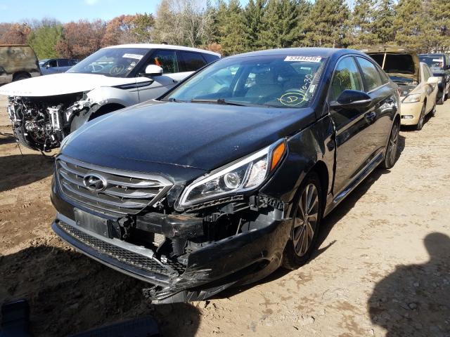 2015 HYUNDAI SONATA SPO 5NPE34AF7FH067732