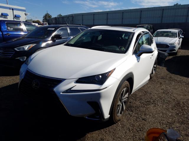 2019 LEXUS NX 300 BAS JTJYARBZ2K2122718