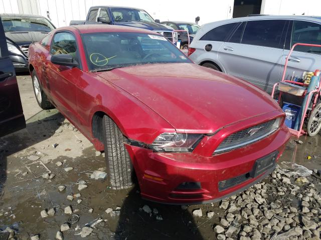 2013 FORD MUSTANG - 1ZVBP8AM4D5280760
