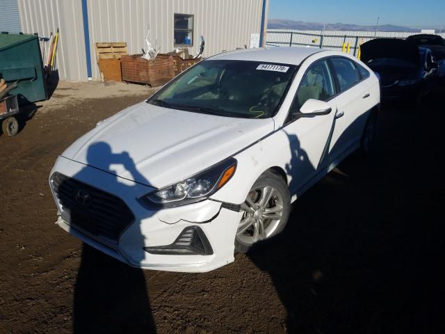 2018 HYUNDAI SONATA SPO 5NPE34AF9JH631342