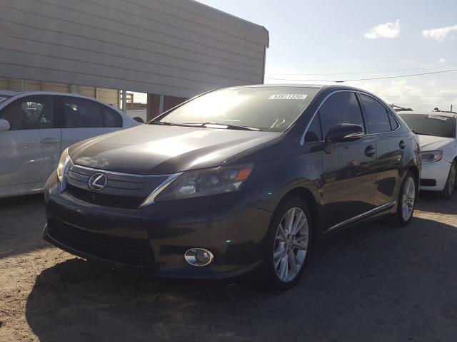 2010 LEXUS HS 250H JTHBB1BAXA2012546