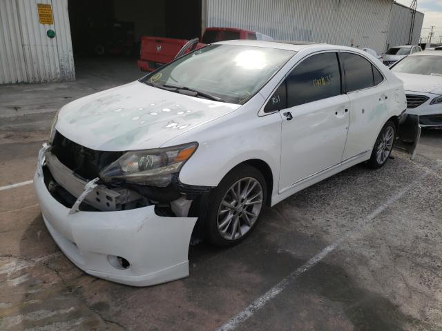 2010 LEXUS HS 250H JTHBB1BA8A2012268