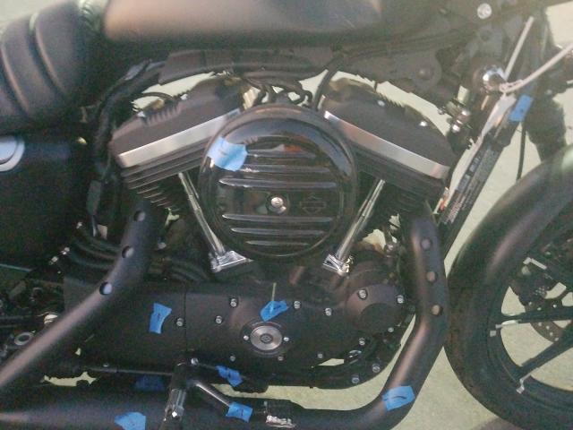 2020 HARLEY-DAVIDSON XL883 N 1HD4LE210LB434146
