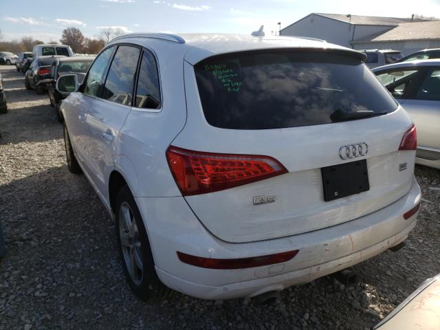2010 AUDI Q5 PREMIUM WA1LKAFP0AA056480