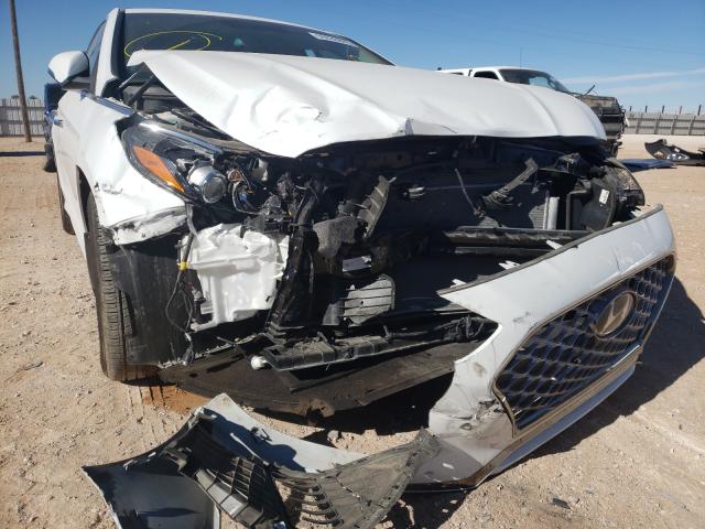 2019 HYUNDAI SONATA LIM 5NPE34AF8KH807802