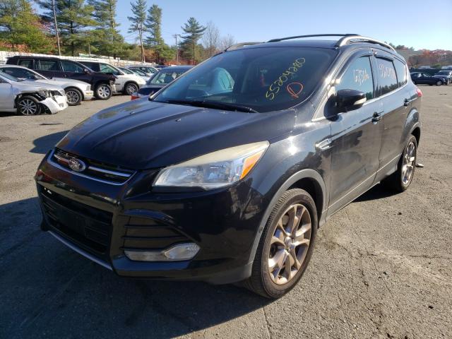 2013 FORD ESCAPE SEL 1FMCU9H92DUB59203