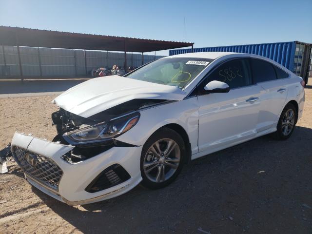 2019 HYUNDAI SONATA LIM 5NPE34AF8KH807802