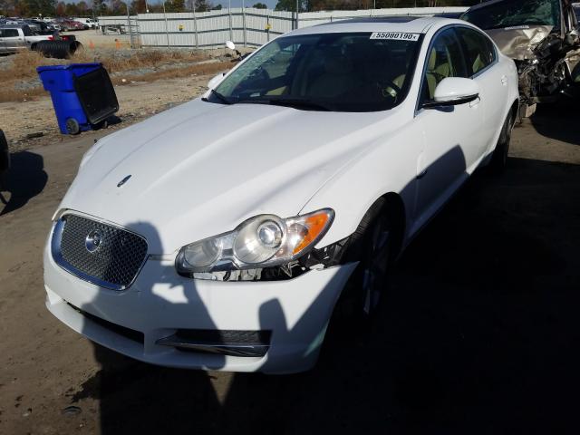 2011 JAGUAR XF SAJWA0FB2BLS13860