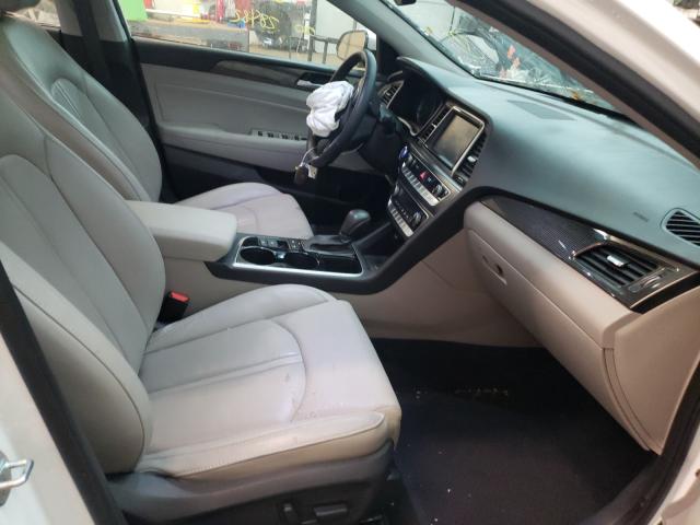 2019 HYUNDAI SONATA LIM 5NPE34AF6KH730749