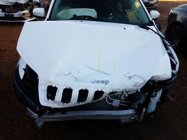 2019 JEEP CHEROKEE L 1C4PJLCB2KD160547