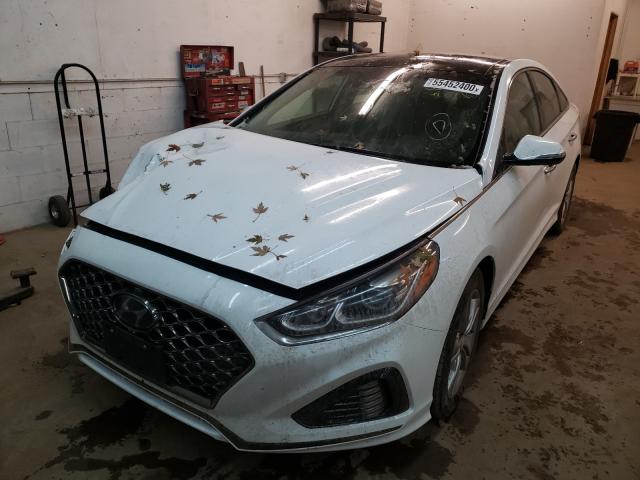 2019 HYUNDAI SONATA LIM 5NPE34AF6KH730749
