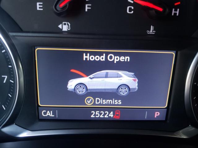 2019 CHEVROLET EQUINOX PR 2GNAXYEX1K6217305