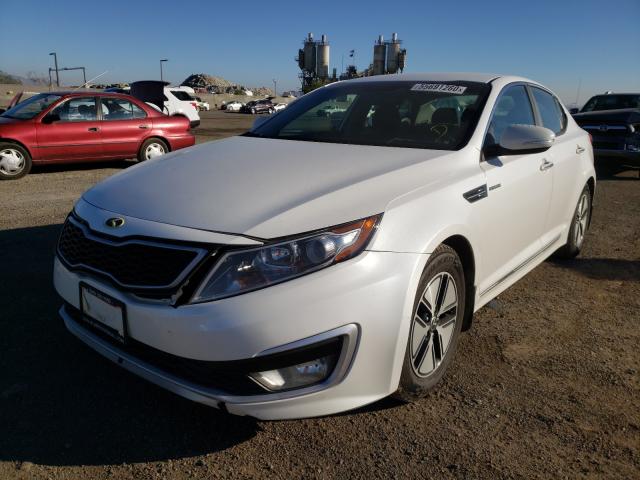 2013 KIA OPTIMA HYB KNAGM4AD0D5055856