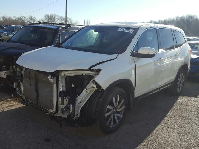 2019 HONDA PILOT EXL 5FNYF6H48KB054064