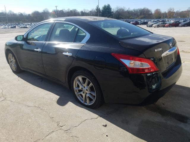 2010 NISSAN MAXIMA 1N4AA5AP3AC810156