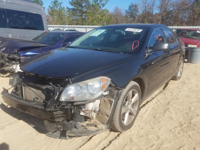 2011 CHEVROLET MALIBU 1G1ZC5EUXBF317171