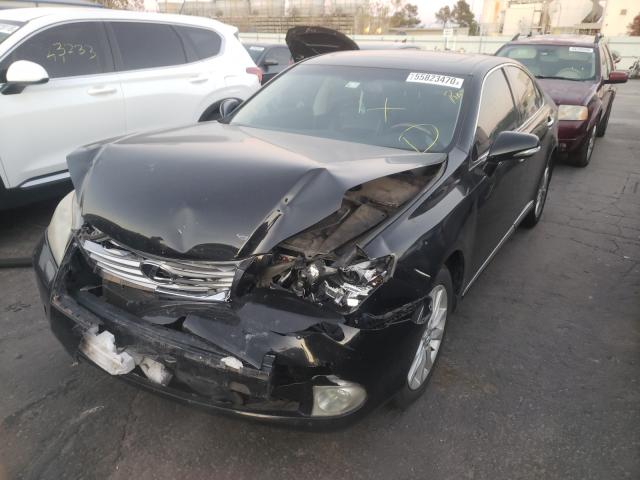 2010 LEXUS ES 350 JTHBK1EG0A2353342