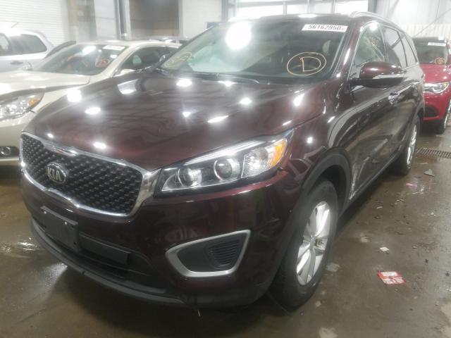 2016 KIA SORENTO LX 5XYPGDA33GG029068