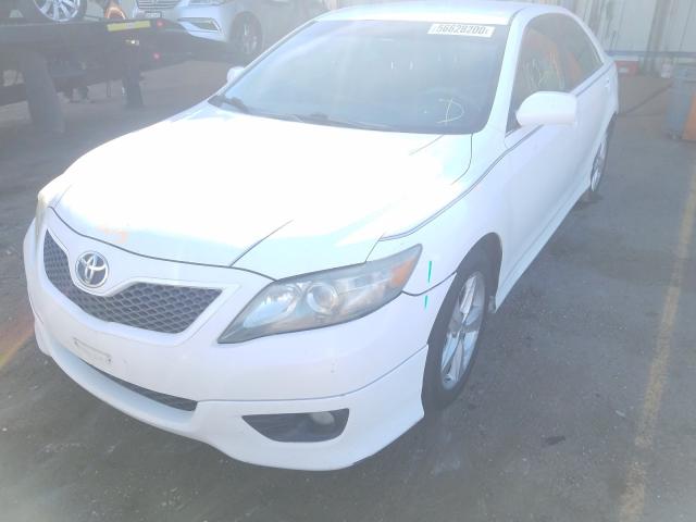 2011 TOYOTA CAMRY 4T1BF3EK5BU594045