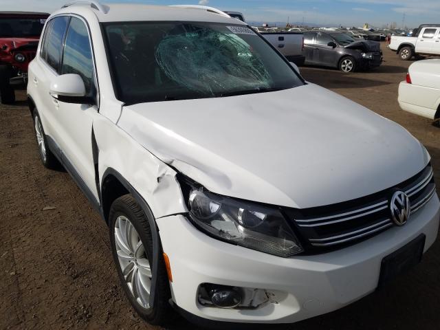 2013 VOLKSWAGEN TIGUAN S WVGBV7AXXDW517464