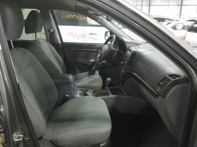 2010 HYUNDAI SANTA FE G 5NMSGDAB0AH369244