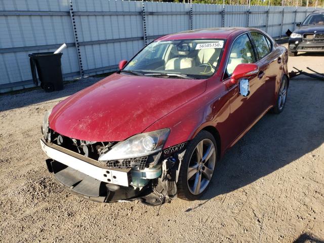 2011 LEXUS IS 250 JTHBF5C21B5146543