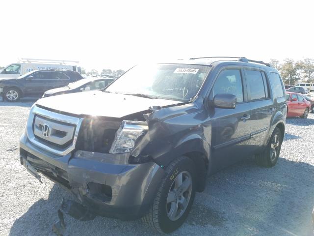 2010 HONDA PILOT EXL 5FNYF4H59AB035485