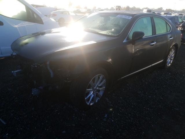 2012 LEXUS LS 460 - JTHBL5EF7C5113444